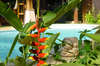 Marco Polo Resort & Spa 